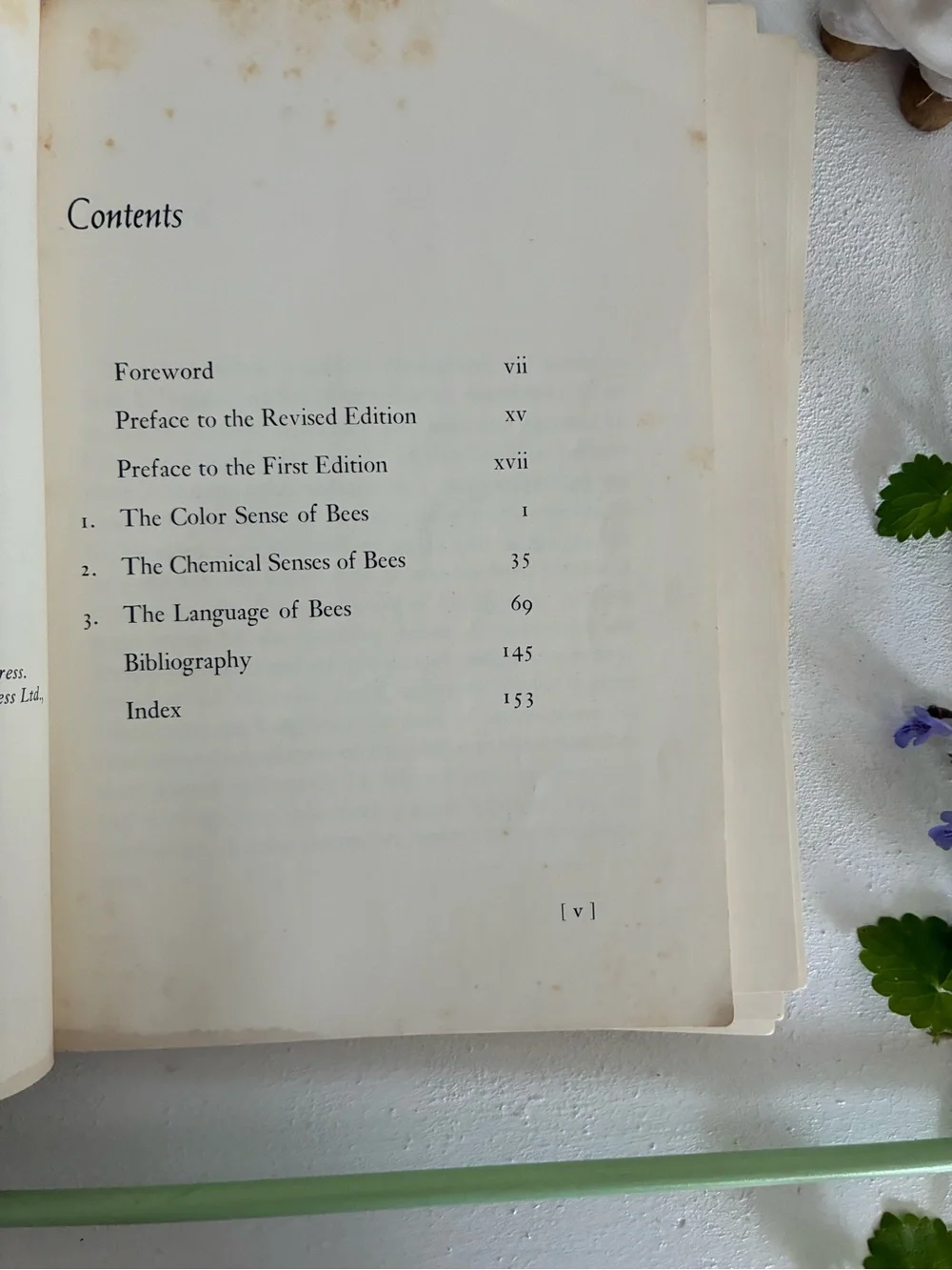 Bees by Karl von Frisch Vintage Paperback - 1971
